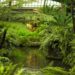 A Glimpse into Prehistoric Chicago