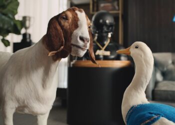 Gaaaap! Latest rivalry in college football pits Aflac Duck against new nemesis, Gap Goat, representing the gap between what health insurance covers and what Americans are able to pay