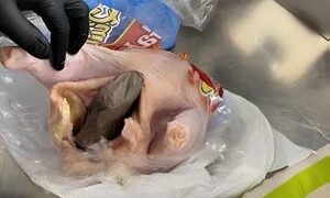 Florida airport finds gun stuffed in chicken during TSA security check