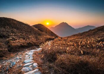 TTG – Travel industry news