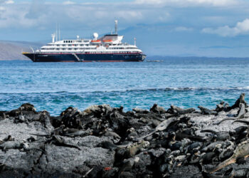 What Is the Highest Rated Luxury Cruise Line?