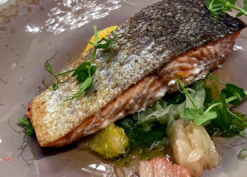 Holland America Culinary Cruises Continue